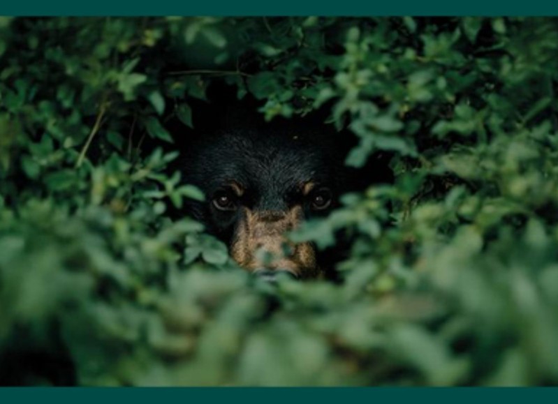 We wish to all our Partners a Happy New Year!